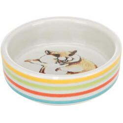 Ceramic bowl for hamster