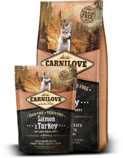 CarniLove Salmon & Turkey for Large Breed puppy 1,5 kg KORNFRI