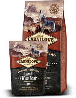 CarniLove Lamb &amp; Wild Boar for adult 1.5 kg GRAIN FREE