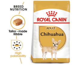Chihuahua Adult 1.5 kg