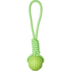 Companion Aqua Ball with rope