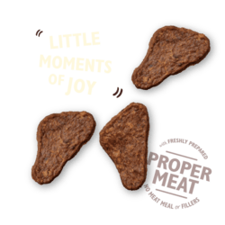 Lily's kitchen The Mighty Duck Mini Jerky 70g