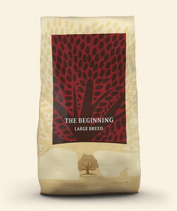 ESSENTIAL The Beginning Large Beed 10 kg (FREE SHIPPING)