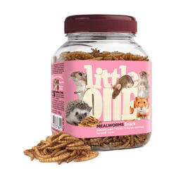 Little One Mealworms 70 g