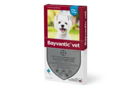 Bayvantic Vet. Flea remedy for dogs between 4-10 kg, 4 x 1.0ml