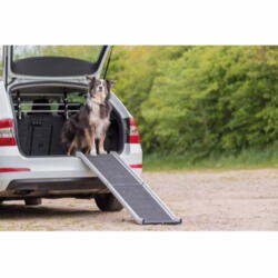 Foldable dog ramp up to 75 kg dog
