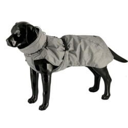 Dogman Pom Winter Jacket in Grey