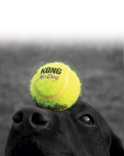2 X KONG SqueakAir Tennis Ball L 8cm