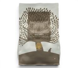 2,5 kg Small Size Essential Balance