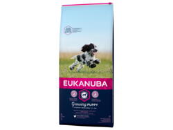 Eukanuba Puppy Large Breed 12 kg