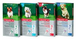 Bayvantic Vet. Flea remedy for dogs between 25-40 kg, 4x4.0ml