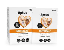 Aptus Nutrisal powder 10x25 g (SOLD OUT)