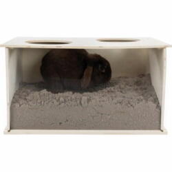 Sandbox for rabbits