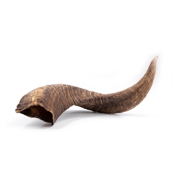 Snack'it Lammehorn (Store)