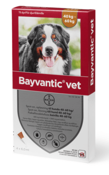 Bayvantic Vet. hund 40-60 kg, 4x6,0ml