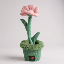 B&B Pawtanic Garden – Blomst (Snuseplante & Snusetæppe)