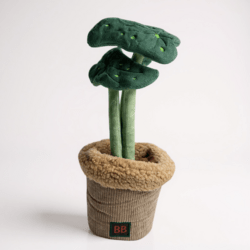 B&B Pawtanic Garden – Plante (Snuseplante & Snusetæppe)