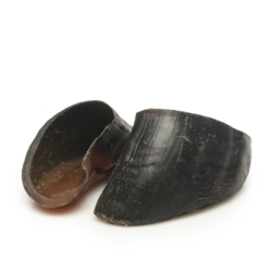 Natural Dog Chews Bøffelklove