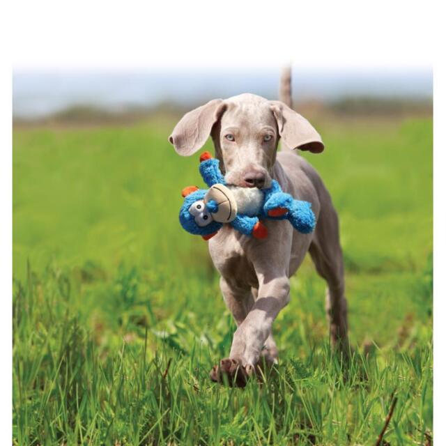 KONG Cross Knots Monkey S/M | Hundelegetøj med reb og piv (OUTLET)