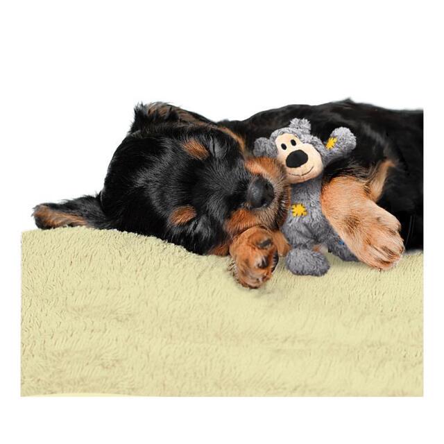 KONG WildKnots Bears XS | Hundelegetøj med indvendigt reb (OUTLET)