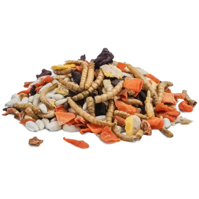 JR Tiny Treats Protein Mix 100 g | Naturlig snack med melorme til gnavere