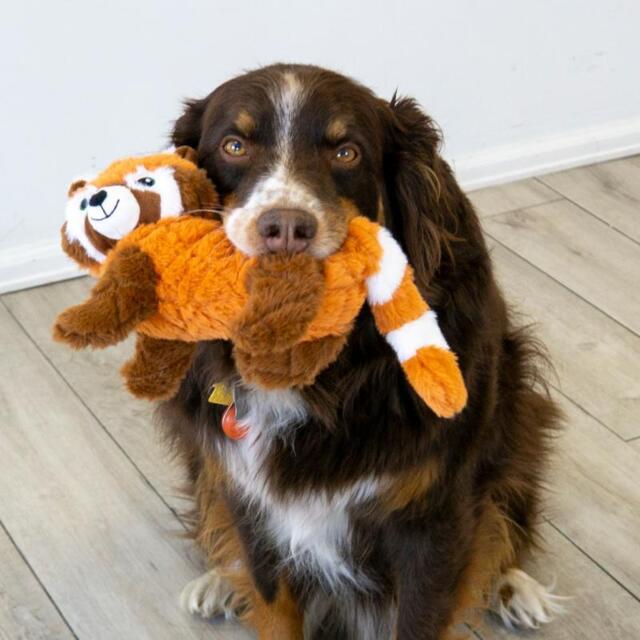 Kong Scampers Red Panda Medium