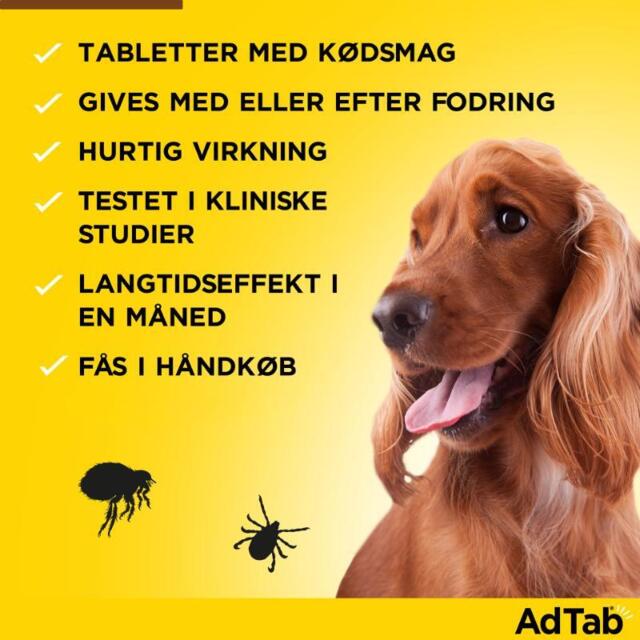 AdTab tyggetabletter til hund 6 stk | Månedlig beskyttelse mod lopper og flåter