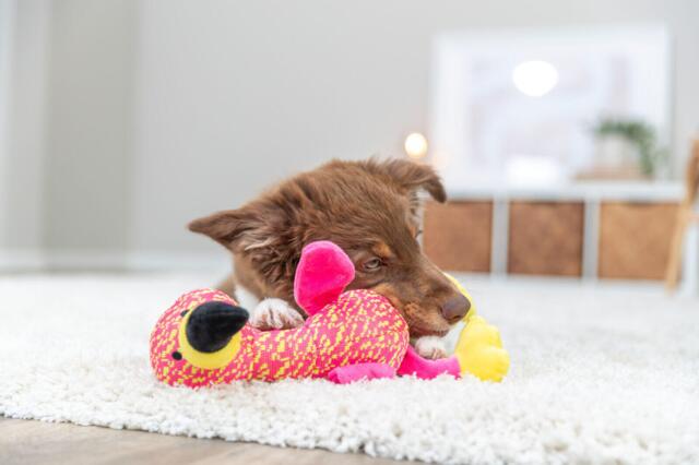 Trixie flamingo plys legetøj med knitreeffekt | blødt hundelegetøj i plys med knitrelyd