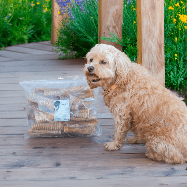 Snack'it Okseluftrør 12-15 cm 1 kg | naturlig tyggesnack til hund