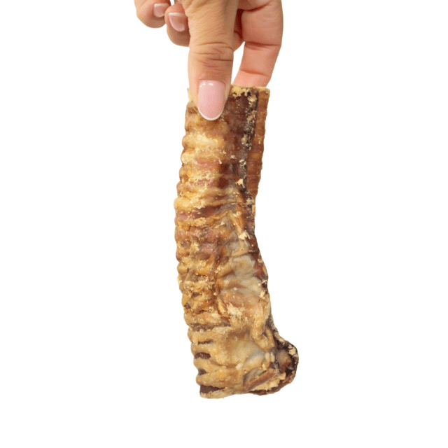 Snack'it okseluftrør med fyld - naturlig hundesnack (15 cm)