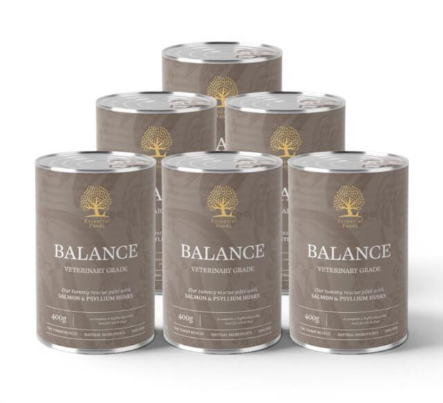 Essential Foods Balance Pâté Skånsomt Vådfoder til Hunde 400g