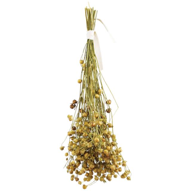 JR Farm Flax Naturlige Hørfrøaks Fuglesnack 30g