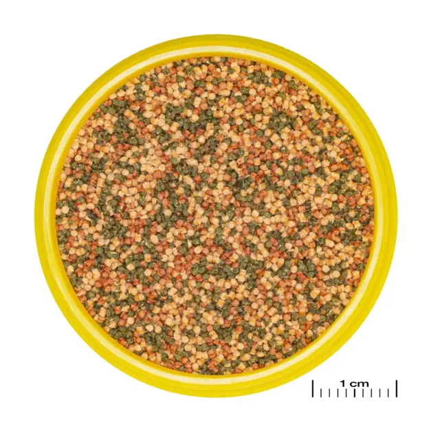 JBL PRONovo BEL GRANO M – Præbiotisk hovedfoder til akvariefisk (250 ml)
