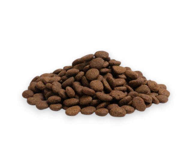 Essential Foods Beginning Large Breed Nautical Hundefoder 10kg