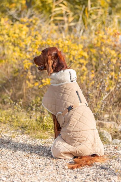 Trixie Minot Sherpa Hundedækken Med Teddyfor - Beige