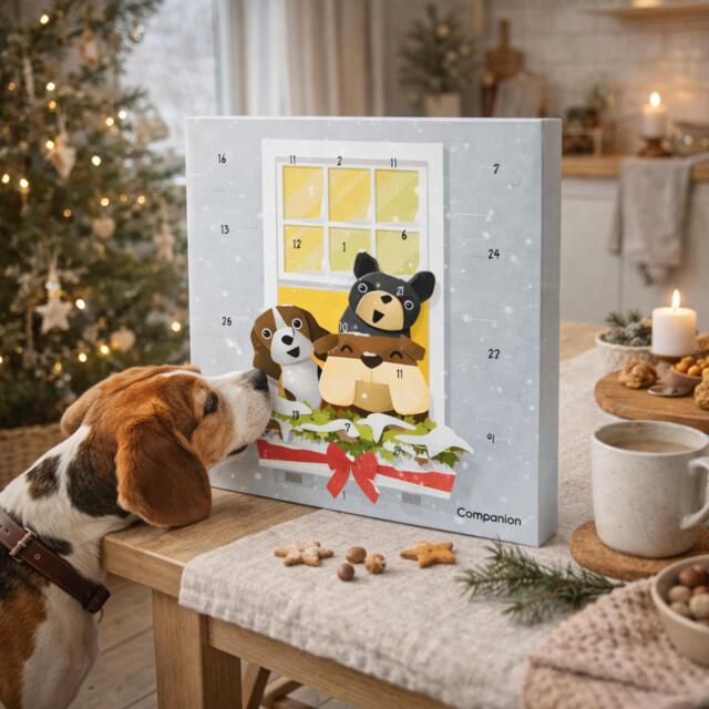 Companion X-Mas Julekalender Hundegodbidder 120g