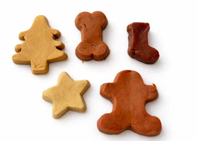 Companion X-Mas Julekalender Hundegodbidder 120g