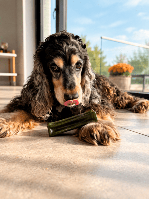 Collagen Bone Original Okse & Spirulina Hundetyggeben Størrelse M
