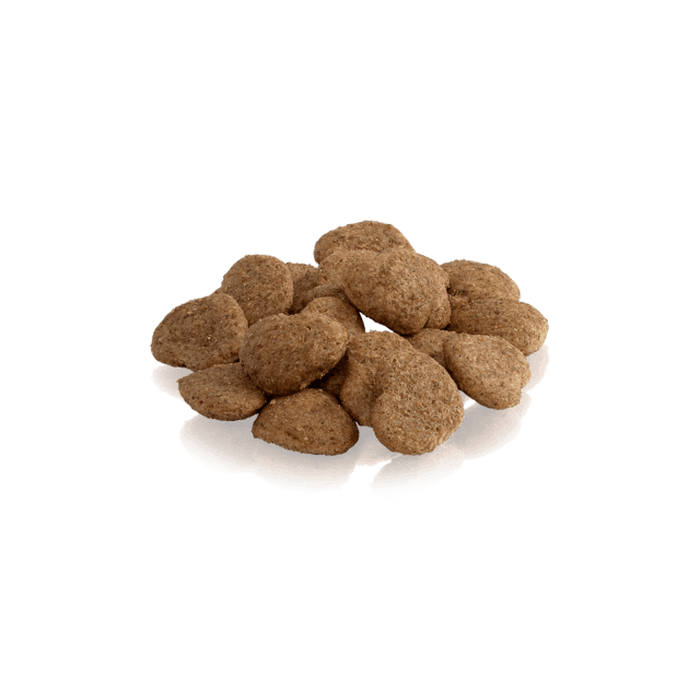Essential Foods The Golden Ghost – Kornfrie og sprøde kattegodbidder med kalkun (100g)