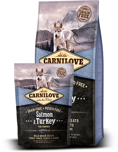 CarniLove Salmon & Turkey for puppies 1,5 kg KORNFRI