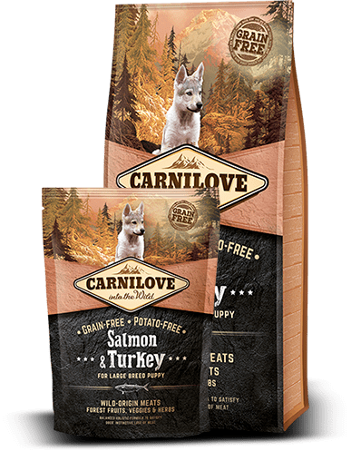 CarniLove Salmon & Turkey for Large Breed puppy 1,5 kg KORNFRI