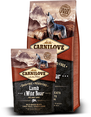 CarniLove Lamb & Wild Boar for adult 12 kg (FREE SHIPPING)