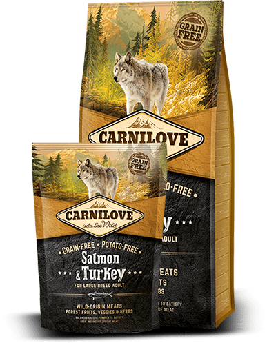 CarniLove Salmon & Turkey for large breed adult ≥ 25 kg 12kg (FRI FRAGT)