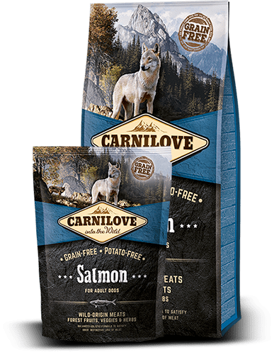 CarniLove Salmon for adult 1,5 kg KORNFRI