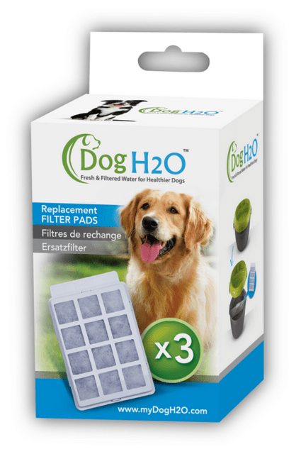 Dog H20 Filter