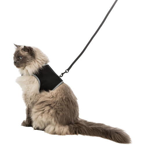 Soft cat harness with line