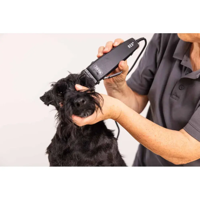 Wahl Hundetrimmer Rex inkl. 6 & 9mm afstandskam