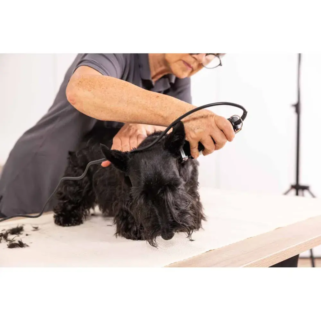 Wahl Hundetrimmer Rex inkl. 6 & 9mm afstandskam