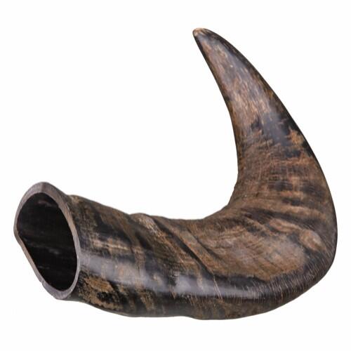 Buffalo Horn Large