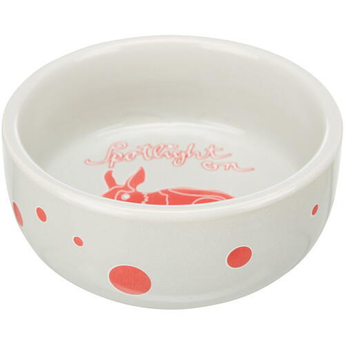 Rabbit food bowl with motif